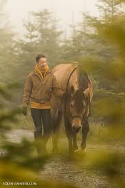 Epingle Sur Equitation