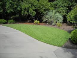 Pest control, termite control, rodent removal, bed bug removal & roach removal in monks corner, sc. Diligent Mount Pleasant Sc Lawn Pest Control Services