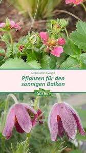 Die kinder spielen lustig im garten, dort spielt meine schwester anna. Die 10 Besten Bilder Zu Der Garten Im Fruhling In 2020 Mdr Garten Garten Pflanzen