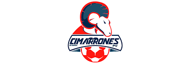 Luis romo, 26, meksika cd cruz azul, 2019'den beri önlibero piyasa değeri: Copa Mx Pagina Oficial De La Liga Mexicana Del Futbol Profesional 21307 Www Lacopamx Net