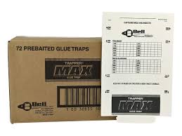 Catchmaster food & pantry moth trap 24 traps (12 packs of 2 traps). Trapper Max Mouse Insect Glue Boards 72 Boards Buy Online In Antigua And Barbuda At Antigua Desertcart Com Productid 6164753