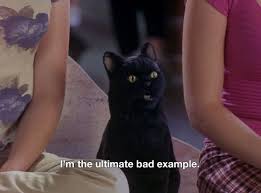 All Images Belong To Cbs Paramount And Archie Comics Funny Memes Salem Cat Memes