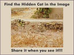Can you find the hidden cat in the picture below? Picture Riddle Spot The Hidden Cat In The Given Image Bhavinionline Com Picture Riddles Riddles Find The Hidden Image