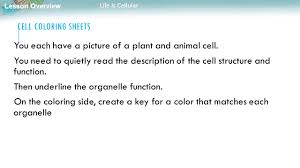 They not only allow your child to get better at remembering things, but they can also serve as great resources. Biology Unit 4 Cell Structure And Function Ppt Download