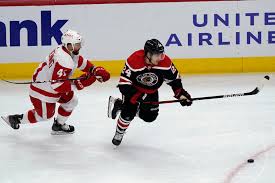 I have high hopes about pius suter, seen handful of his games (online and tv) like him a lot. Pius Suter Looks To Fill Red Wings Second Line Center Spot Mlive Com