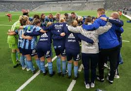 Begreppet tvilling kommer från att både aik och djurgården grundades 1891 i stockholm.lagen har mött varandra i seriespel flera gånger, och ibland har lagen även mötts i svenska cupen.derbyt har rankats som ett av världens 50 största fotbollsderbyn. Infor Aik Djurgarden