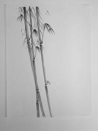 Pen Sketch Bamboo Ck
