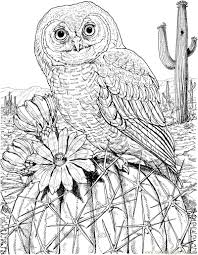 Pin On Zentangle Art