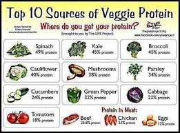 so where do you get your protein plant trainers