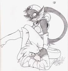 Falco x Katt by SmithyGCN | Star fox, Art, Humanoid sketch