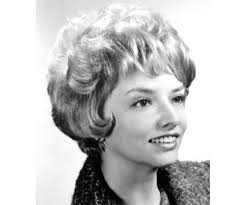 Ann Lauer Obituary (2017)