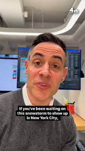 This package theft may seem like a shocking random act, but Erica Bernhard  of Massapequa Park says it all started earlier in November when someone  hacked her Bloomingdale account and started ordering