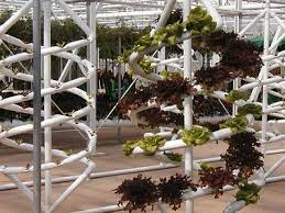 The 8 Best Indoor Garden Systems Of 2021 Home Hydroponics Hydroponics System Hydroponic Farming