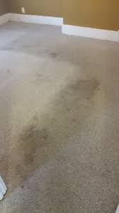 Carpet cleaning richmond virginia was established in january 1st, 2002 and has been in business ever since. Citrusolution Carpet Cleaning Richmond Va And Tri City Home Facebook