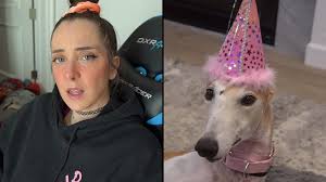 Discover and share the best gifs on tenor. Jenna Marbles Celebrates Her Dog S Birthday With Ridiculous Present Dexerto