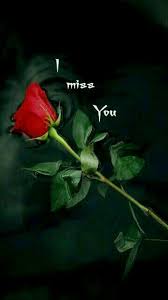 Asma Miss You Images I Miss You Wallpaper I Love You Images