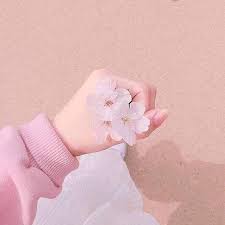 Maybe you would like to learn more about one of these? Pastelpink Pastel Pink Aesthetic Flower