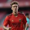 Leistungsdaten aktuelle saison von luca waldschmidt (benfica lissabon) einsätze tore vorlagen karten alle wettbewerbe. 1