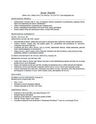 66 With Resume Profile Samples Resume Format
