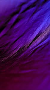 Fabric Shadow Line Black Background Iphone 6 Wallpaper Black And Purple Wallpaper Abstract Iphone Wallpaper Purple Wallpaper