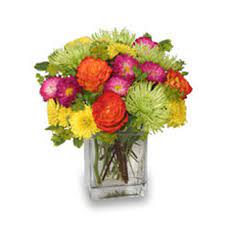 Your request has been submitted, and a lennar associate will contact you shortly. Flowers By Shirley 18 Photos 27 Reviews Florists 2200 Us 1 S Saint Augustine Fl Phone Number Yelp