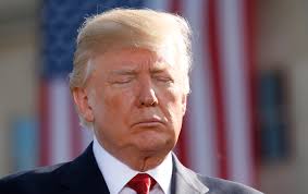 Donald Trump's Candidates Crashed and Burned | The Nation