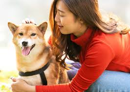Maybe you would like to learn more about one of these? Pet Care Services Fetch Pet Care
