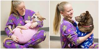Lifeline pet rescue is a group of volunteers who have years of experience. Animal Shelter Offers Doggy Sleepovers Dog Pajama Parties