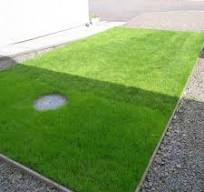 X-Grid - Green