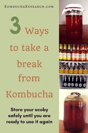 How To Make A Scoby Hotel Kombucha Research Kombucha Flavors Kombucha Recipe Kombucha