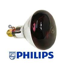 Lampe Chauffante Pour Chien Lampe Infrarouge Philips 150w Prix Discount Lampe Infrarouge Chiot Et Philips
