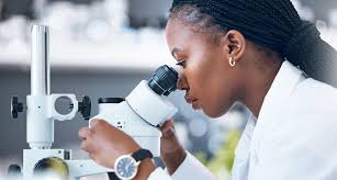 Zahl der Meldungen über rassistische Diskriminierung gestiegen