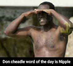 Jun 24, 2021 · don cheadle loved the challenge of his latest film, the twisty noir crime drama no sudden move. Don Cheadle Word Of The Day Is Nipple Don Cheadle Word Of The Day Is Nipple Memes Video Gifs Don Memes Cheadle Memes Word Memes Day Memes