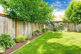 Baume Fur Den Garten Tipps Ideen Fur Grosse Und Kleine Aussenbereiche Baume Garten Gartengestaltung Straucher Garten