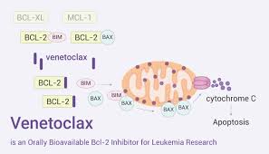 Image result for BCL2 Inhibitor