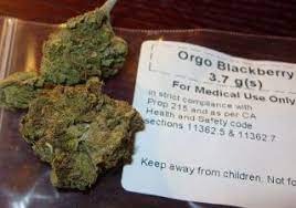 Some states recognize medical marijuana id cards from other states. Medical Marijuana Benefits Risks State Laws Live Science