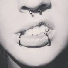 Pin On Dimond Dogs