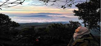 Hutan ini menawarkan sensasi liburan di alam dengan udara yang sejuk dan segar tentunya. Ini 5 Destinasi Wisata Di Kuningan Terbaru Yang Sayang Untuk Dilewatkan