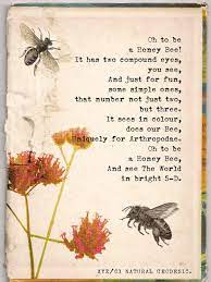 12 Beautifully Illustrated Poems Celebrating Science And Nature Bee Bee Quotes Bee Poem