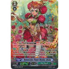 Ranunculus Flower Maiden Ahsha