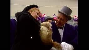 Jūs esat ieradušies uz šo lapu, jo tas, visticamāk, meklē: Wiarton Willie Festival Film Video Stock