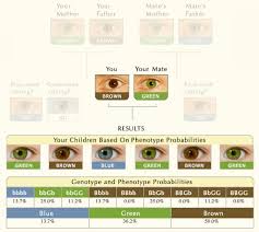 35 explanatory eye color chart with pictures