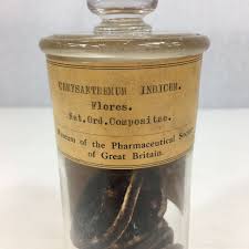 As a customer, i felt my needs were prioritized. Antique Glass Apothecary Jar Pharmaceutical Society Museum Great Britain Chrysanthemum Indicum Wheeler Antiques