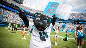 The carolina panthers are a professional american football team based in charlotte, north carolina. Sir Purr Named Nfl Mascot Of The Year
