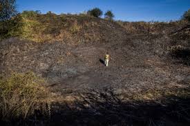 Verspreid over droog Nederland duiken brandhaarden op: ‘De branden worden intenser’