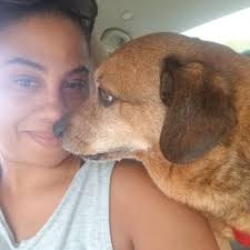 ENGLISH PLAZA ANIMAL HOSPITAL