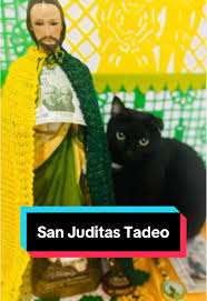 San Juditas Tadeo 28-10-24 #sanjudastadeo💚 #sanjudastadeo #tiktokmexico  #viral_video #viralvideos #28deoctubre  #sanjudastadeopatronodelascausasdificiles #sanjuditastadeo🤍💚💛