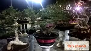 Check spelling or type a new query. Depot Adem Ayem Yu Sri Ngawi Kuliner Baru Ngawi Youtube