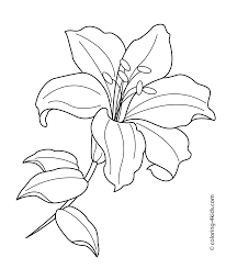 Tiger lily coloring pages are a fun way for kids of all ages to develop creativity focus. Lilium Flower Coloring Pages For Kids Printable Free Lilies Drawing Flower Coloring Pages Flowers Coloring Pages