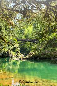 Maybe you would like to learn more about one of these? Washington Hike Moulton Falls Moulton Falls Washington Hikes Beautiful Waterfalls